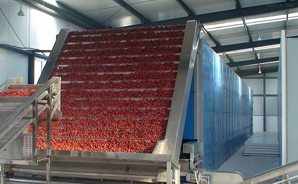 霸王花烘干機(jī)